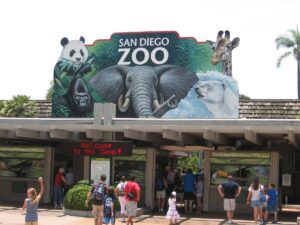 6 Exciting Zoos in San Diego