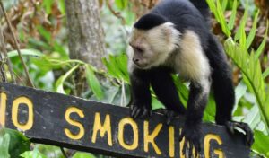 BEST PLACES TO VISIT IN COSTA RICA