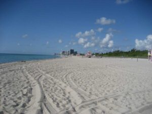 Best Things To Do In Miami