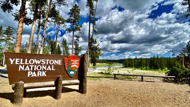 yellowstone national park