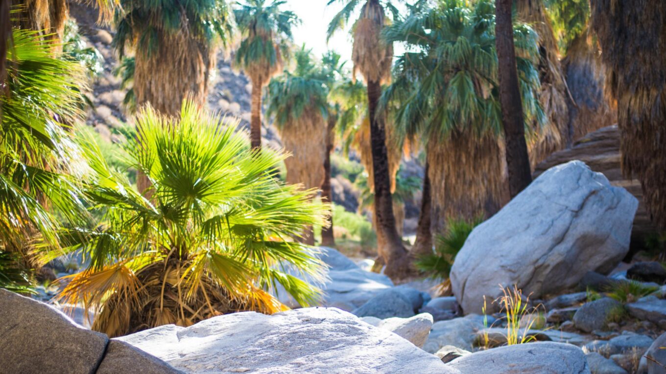 Greater Palm Springs