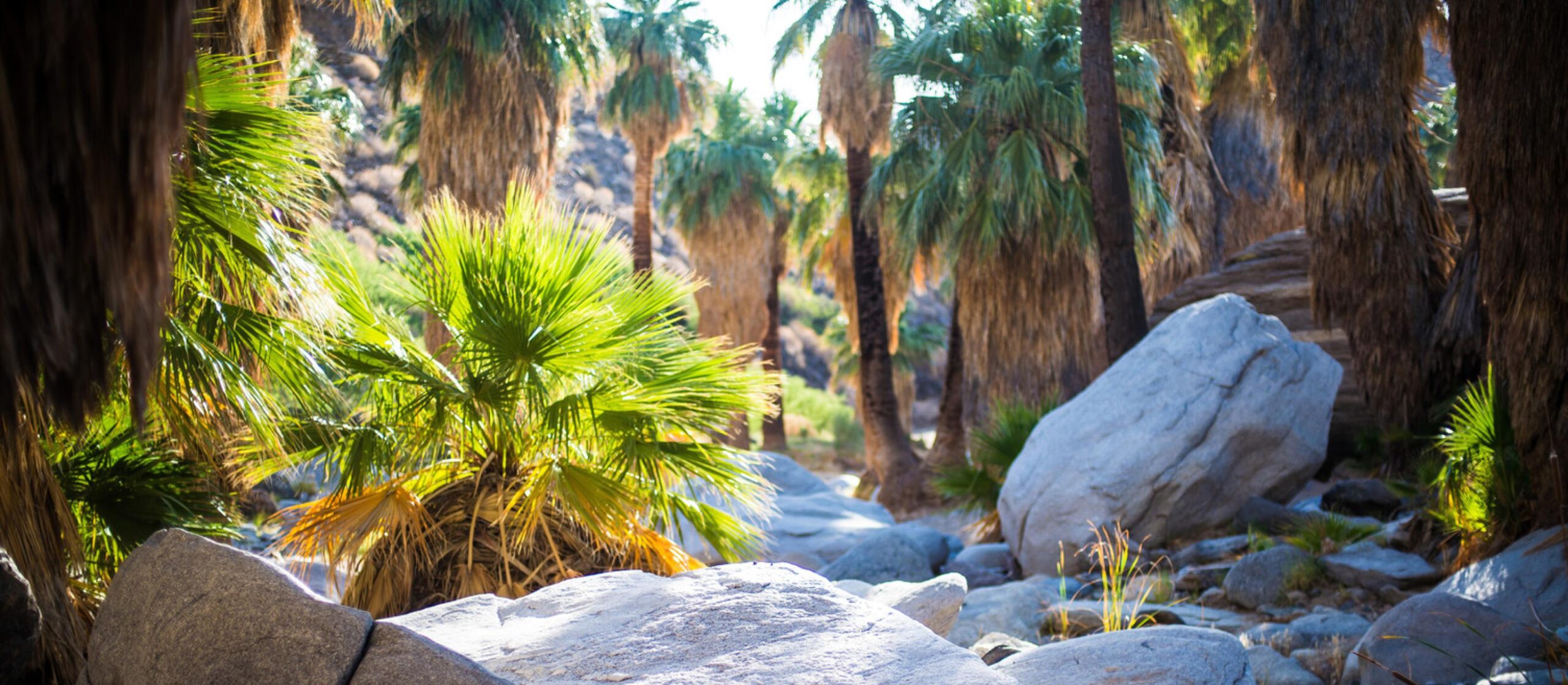 Greater Palm Springs