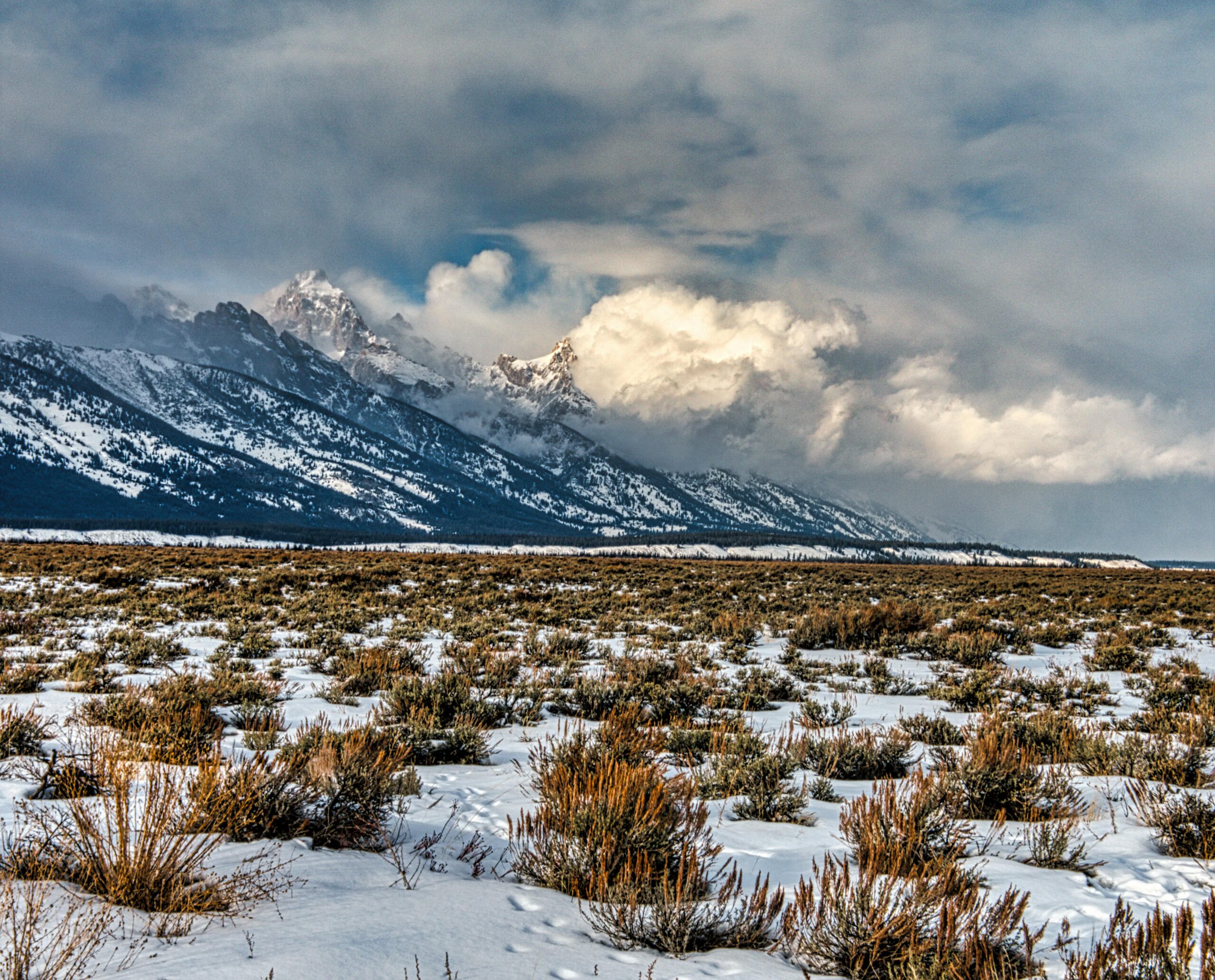 Jackson Hole