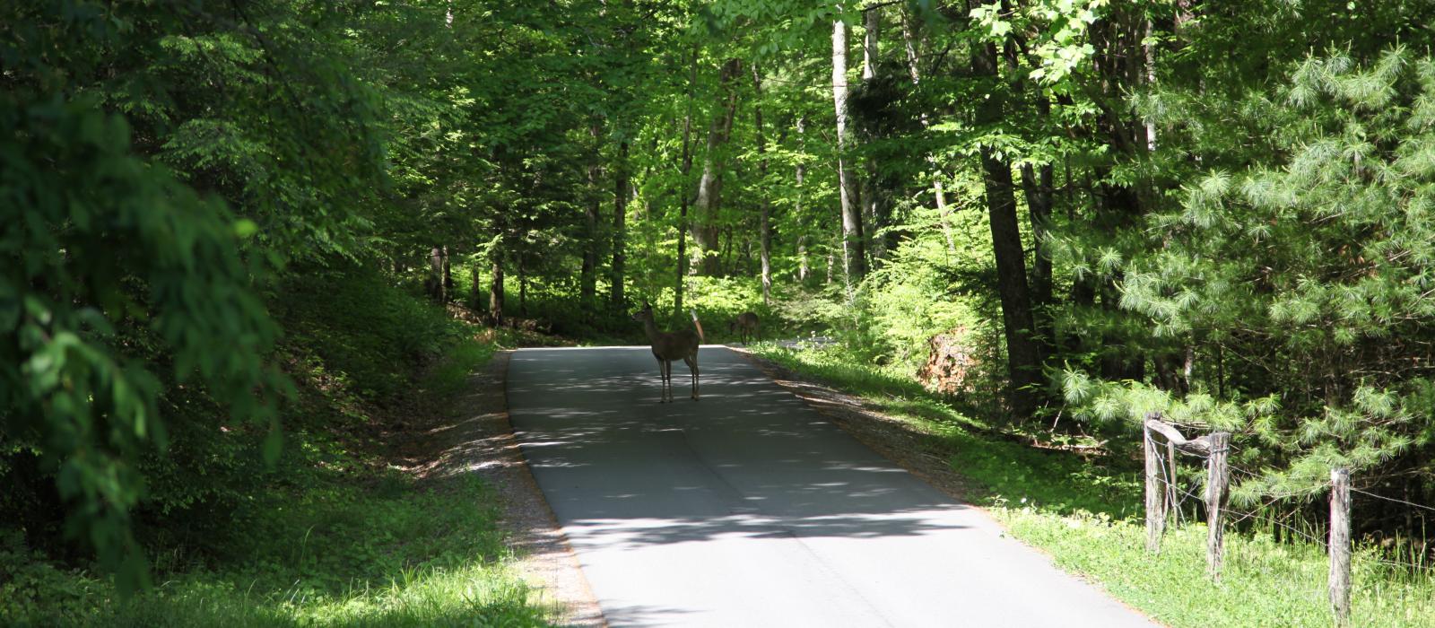 Blount Country and Townsend Tennessee