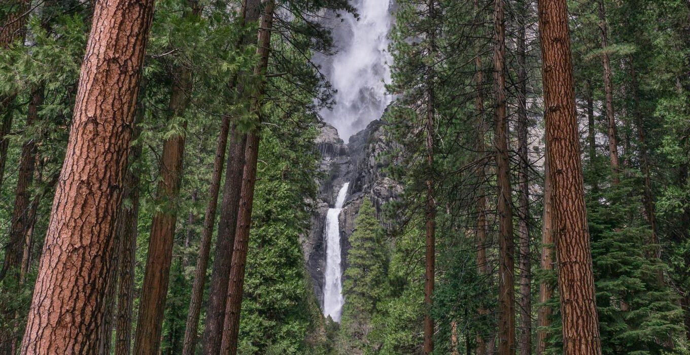 Yosemite National Park: Road Less Traveled to Amazing California Park