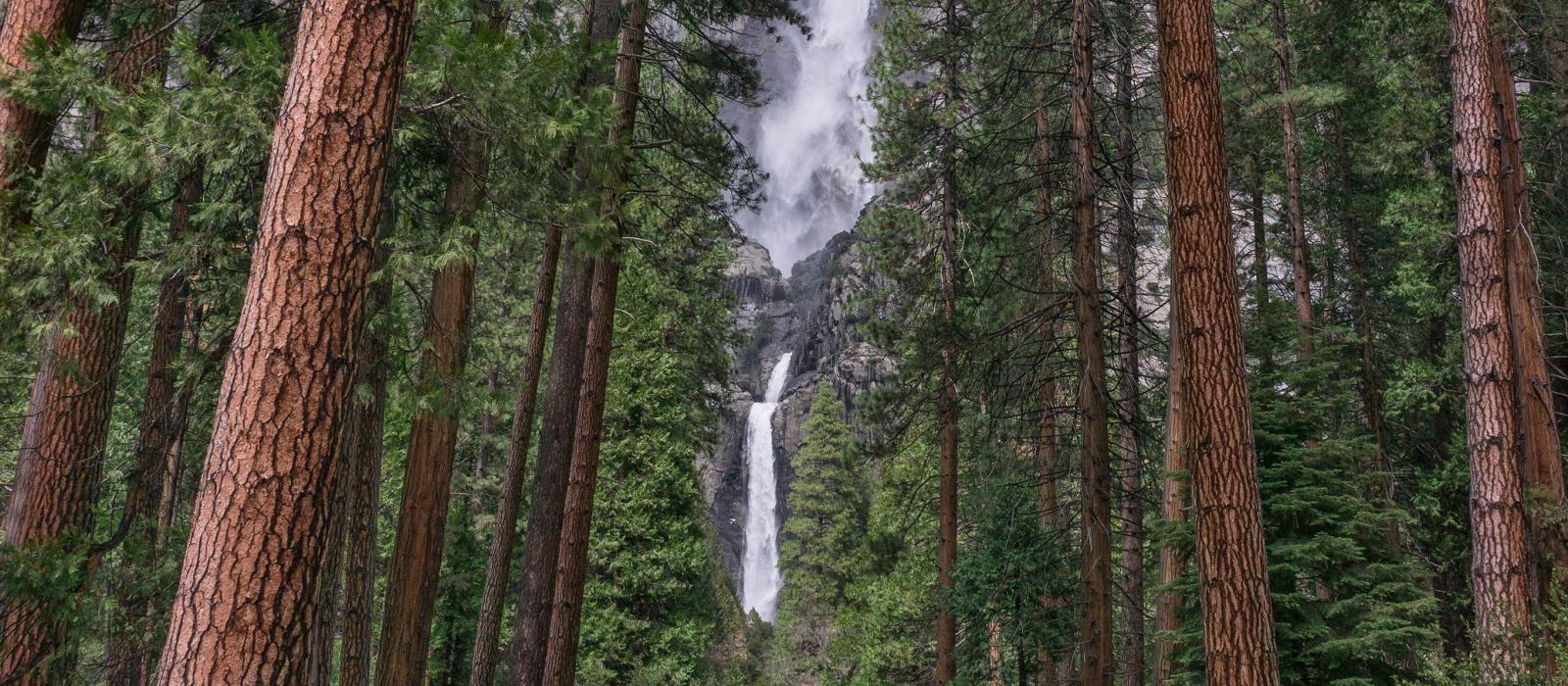 Yosemite National Park: Road Less Traveled to Amazing California Park