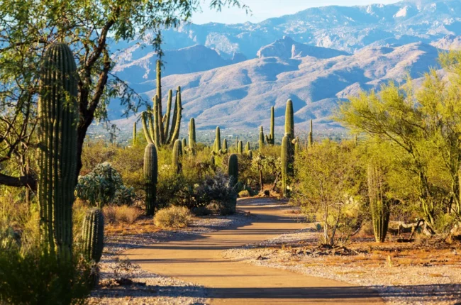 Parks in Tucson