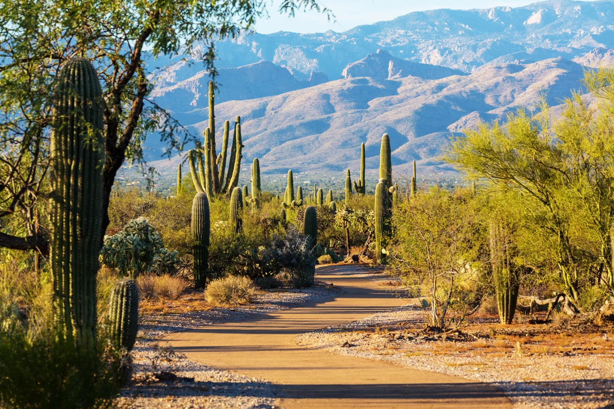 Parks in Tucson